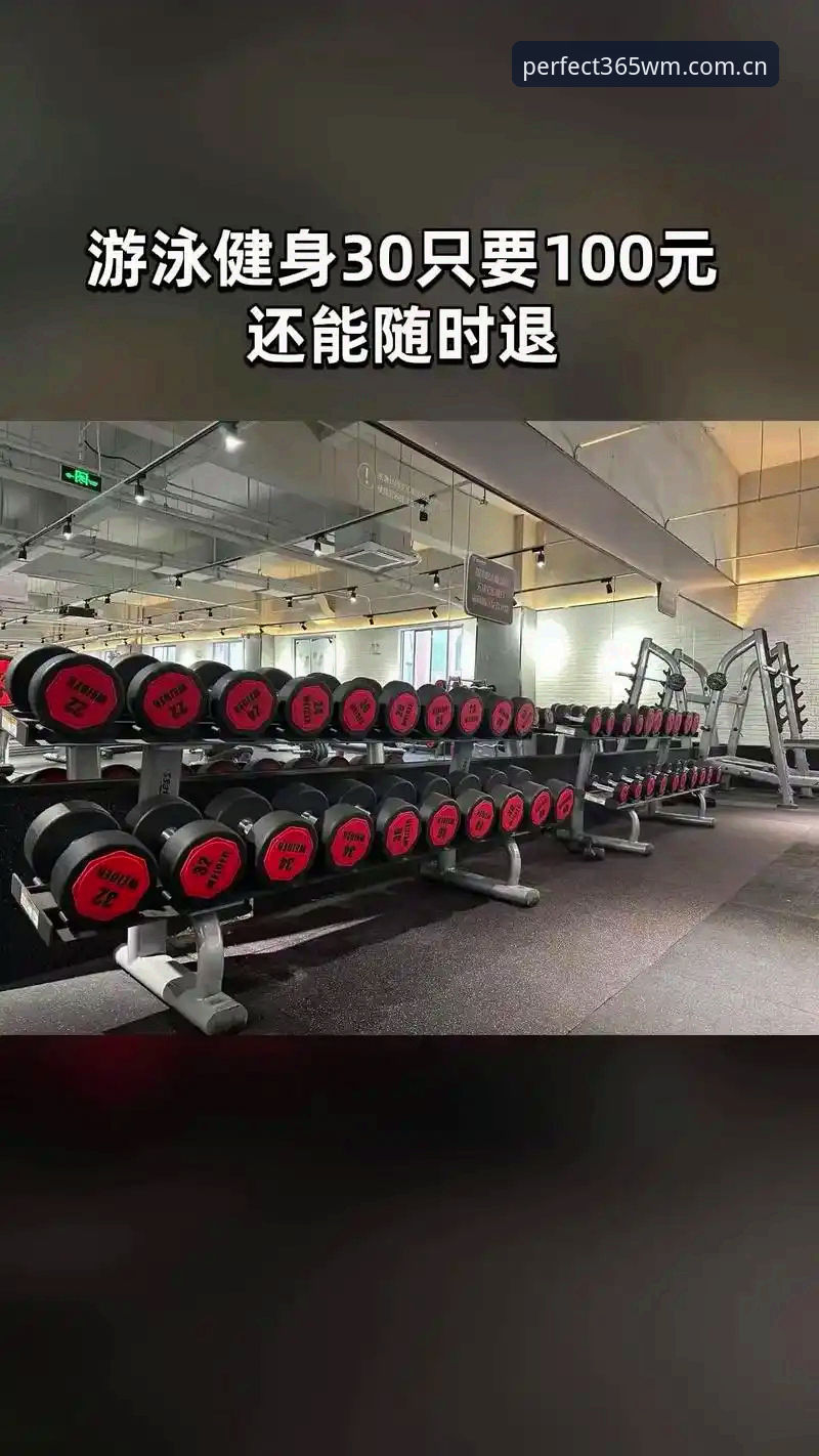 完美体育官方下载下载不了怎么办 完美体育官方下载下载不了怎么办?真实体验评测与解决方案全解析